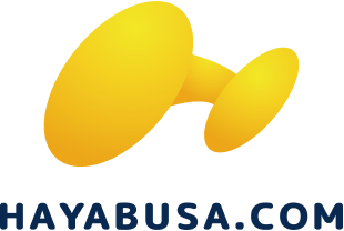 hayabusa.com